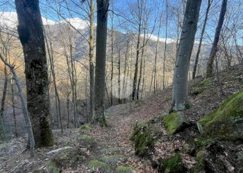 Rustico Frazione Bariola, Campiglia Cervo - foto 35