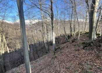 Rustico Frazione Bariola, Campiglia Cervo - foto 36