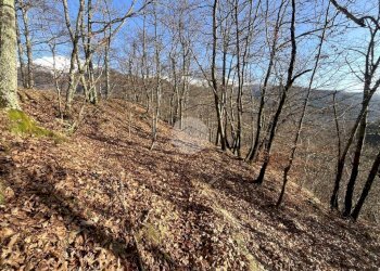 Rustico Frazione Bariola, Campiglia Cervo - foto 37