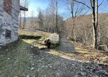 Rustico Frazione Bariola, Campiglia Cervo - foto 40