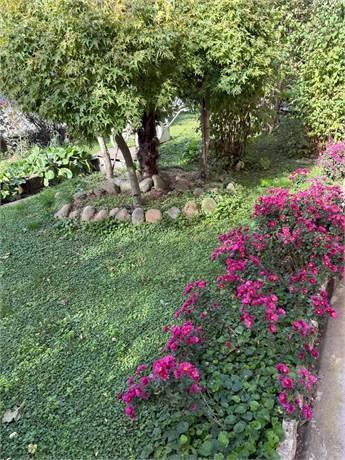 Apartment Piossasco - photo 3