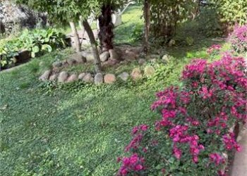 Appartamento Piossasco - foto 3