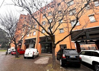 Commercial Activity via Dell'Artigiano, Bologna (neighborhood San Donato) - photo 3