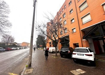 Commercial Activity via Dell'Artigiano, Bologna (neighborhood San Donato) - photo 4