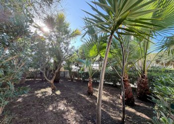 Foto 36 - Villa via della pavoncella
 
10, Lecce - foto 36