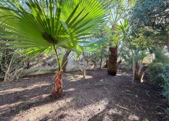 Foto 38 - Villa via della pavoncella
 
10, Lecce - foto 38