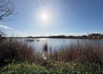 Foto 42 - Villa via della pavoncella
 
10, Lecce - foto 42