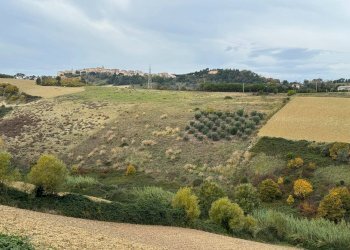 Foto 1 - Terreno agricolo Contrada Cantagallo
 
snc, Altidona - foto 1