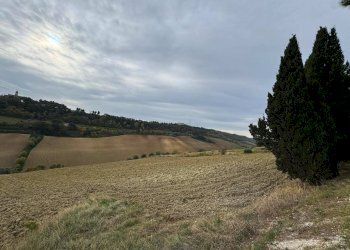 Foto 4 - Terreno agricolo Contrada Cantagallo
 
snc, Altidona - foto 4
