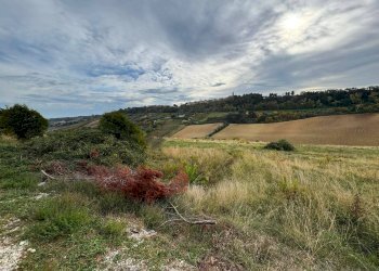 Foto 5 - Terreno agricolo Contrada Cantagallo
 
snc, Altidona - foto 5