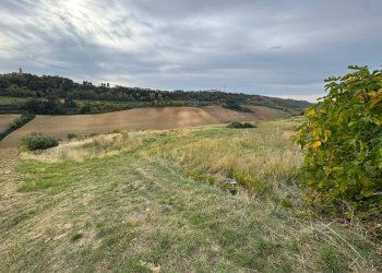 Foto 6 - Terreno agricolo Contrada Cantagallo
 
snc, Altidona - foto 6