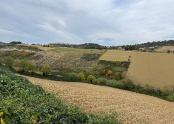 Foto 7 - Terreno agricolo Contrada Cantagallo
 
snc, Altidona - foto 7
