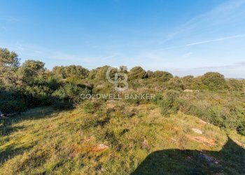 Foto 23 - Baita Contrada Grottone
 
Snc, Ostuni - foto 23