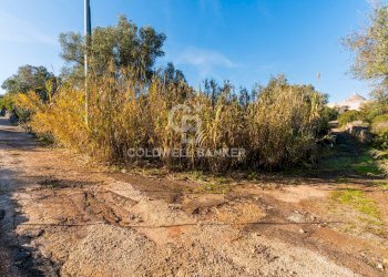 Foto 24 - Baita Contrada Grottone
 
Snc, Ostuni - foto 24