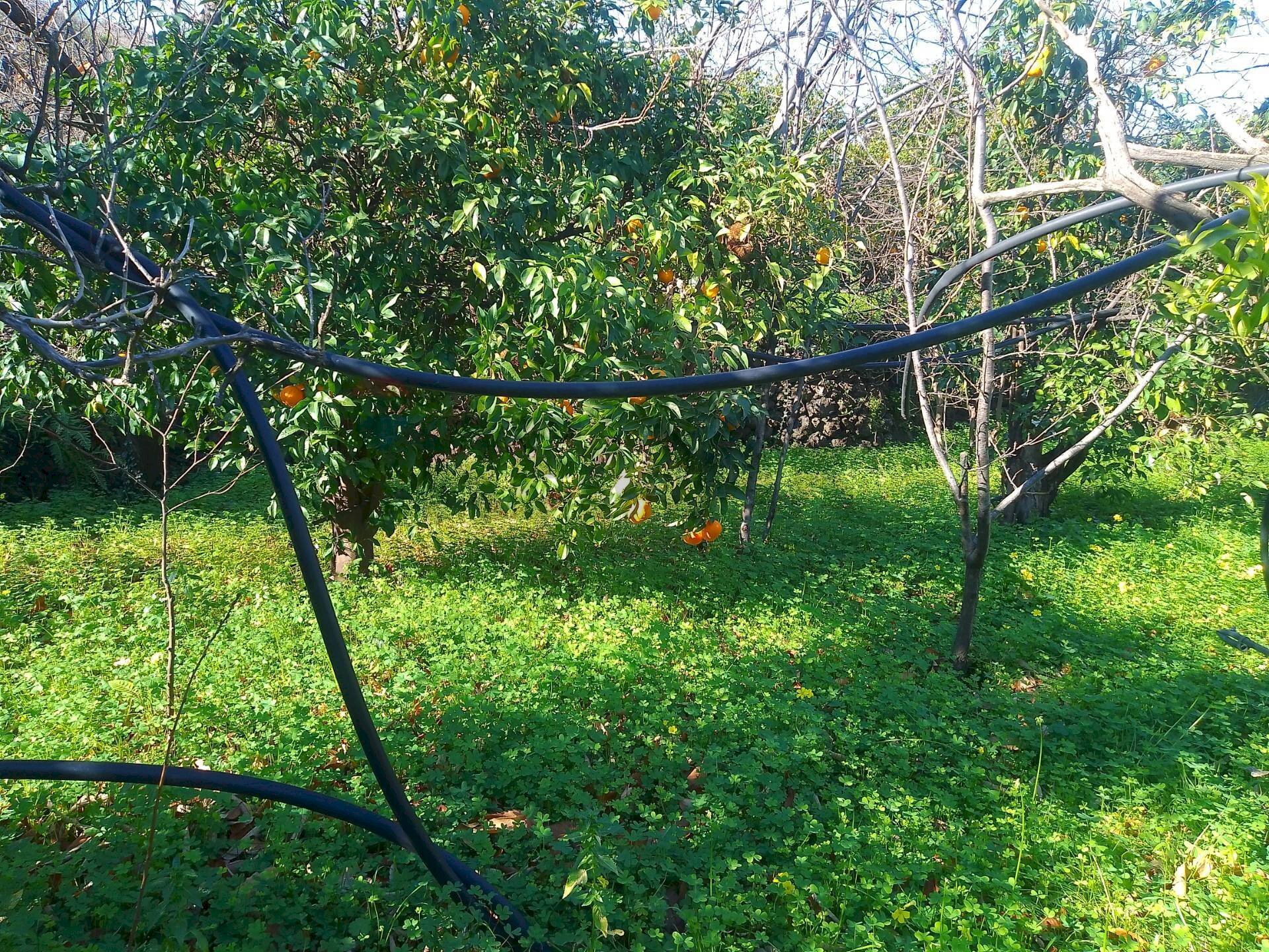 Giardino - Agricultural land str. 61, Giarre - photo 1