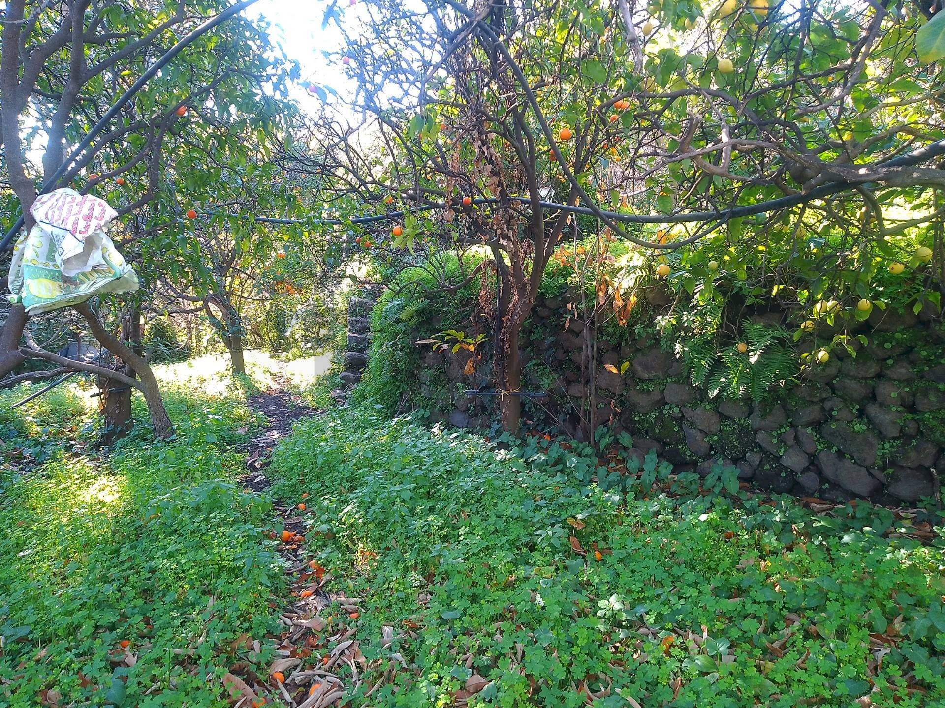 Giardino - Agricultural land str. 61, Giarre - photo 2