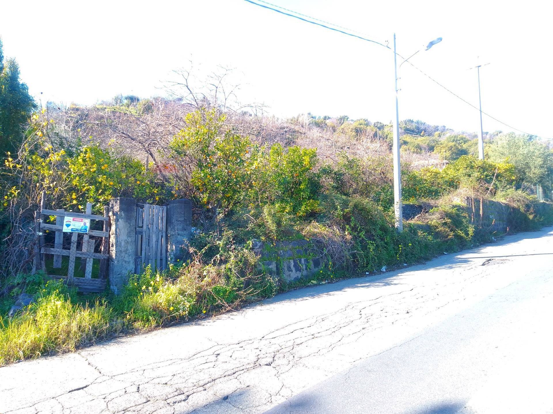 Ingresso fronte strada - Agricultural land str. 61, Giarre - photo 3