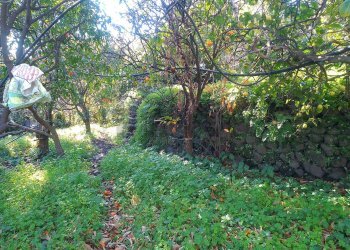 Giardino - Terreno agricolo str. 61, Giarre - foto 2