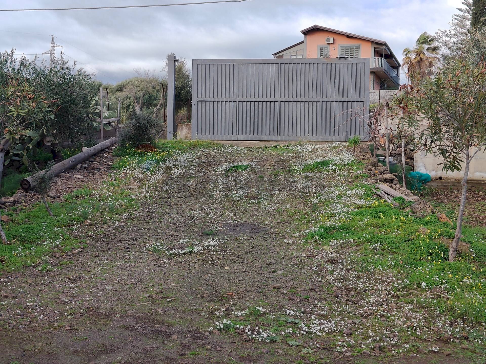 Giardino - Agricultural land Via Don Giovanni Bosco
13, Camporotondo Etneo - photo 3