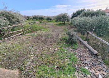 Giardino - Agricultural land Via Don Giovanni Bosco
13, Camporotondo Etneo - photo 7