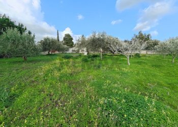 Giardino - Agricultural land Via Don Giovanni Bosco
13, Camporotondo Etneo - photo 20