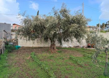 Giardino - Agricultural land Via Don Giovanni Bosco
13, Camporotondo Etneo - photo 21