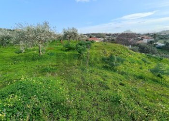 Giardino - Agricultural land Via Don Giovanni Bosco
13, Camporotondo Etneo - photo 22
