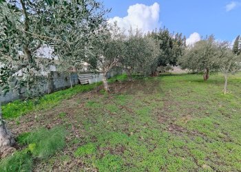 Giardino - Agricultural land Via Don Giovanni Bosco
13, Camporotondo Etneo - photo 23