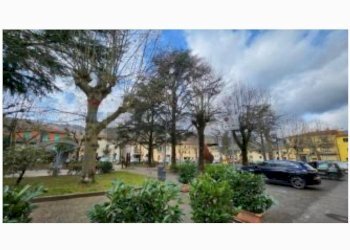 Edificio all\'aperto - Appartamento PIAZZA MAZZINI
21, Pratovecchio Stia - foto 18