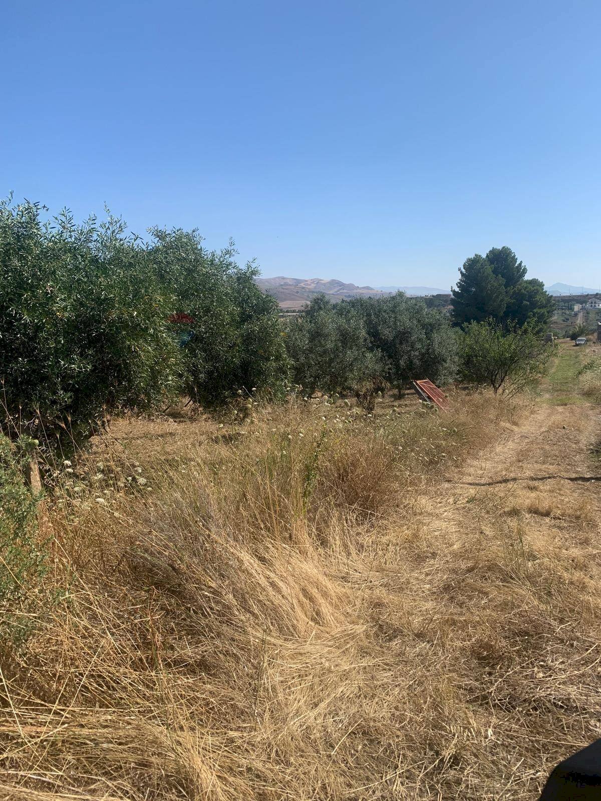 Vista delle montagne - Terreno agricolo Contrada xirbi
 
snc, Caltanissetta - foto 2