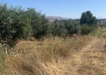 Vista delle montagne - Agricultural land Contrada xirbi
 
snc, Caltanissetta - photo 2