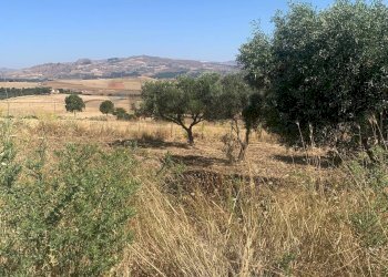 Vista delle montagne - Agricultural land Contrada xirbi
 
snc, Caltanissetta - photo 8