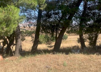 Giardino - Agricultural land Contrada xirbi
 
snc, Caltanissetta - photo 11