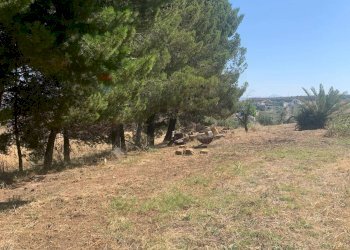 Giardino - Agricultural land Contrada xirbi
 
snc, Caltanissetta - photo 14