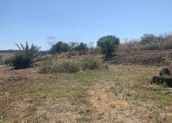 Vista delle montagne - Agricultural land Contrada xirbi
 
snc, Caltanissetta - photo 15
