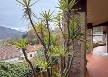 Vista delle montagne - Villa Bagni di Lucca - foto 48