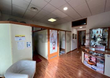 Soggiorno - Locale Commerciale Coreglia Antelminelli - foto 11