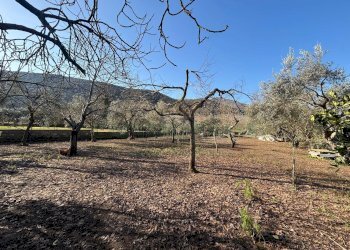 Foto 1 - Agricultural land Caserta - photo 1