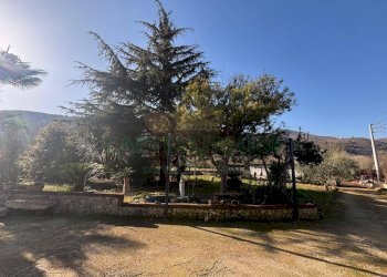 Foto 6 - Agricultural land Caserta - photo 6