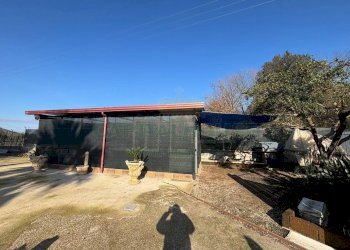 Foto 7 - Agricultural land Caserta - photo 7