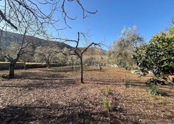 Foto 10 - Agricultural land Caserta - photo 10