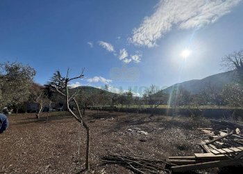 Foto 13 - Agricultural land Caserta - photo 13