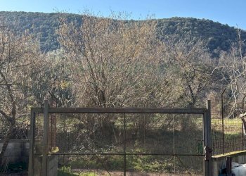 Foto 14 - Agricultural land Caserta - photo 14