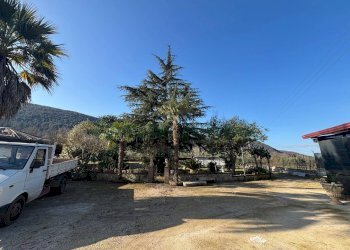 Foto 15 - Agricultural land Caserta - photo 15