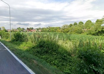 Giardino - Terreno edificabile Viale Palmanova
 
snc, Cervignano del Friuli - foto 1