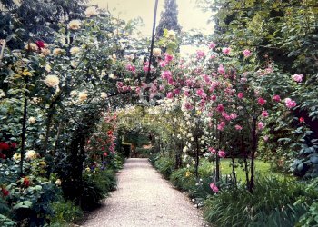 Foto 59 - Villa Via Chianciano
 
91, Cesena - foto 59