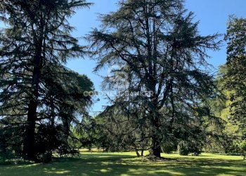 Foto 62 - Villa Via Chianciano
 
91, Cesena - foto 62