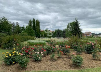 Foto 66 - Villa Via Chianciano
 
91, Cesena - foto 66