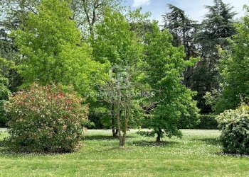 Foto 72 - Villa Via Chianciano
 
91, Cesena - foto 72