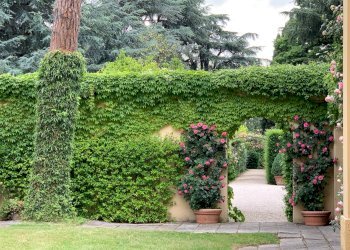 Foto 3 - Villa Via Chianciano
 
91, Cesena - foto 3